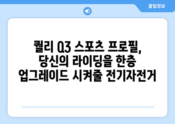 퀄리 Q3 스포츠 프로필 전기자전거 소개