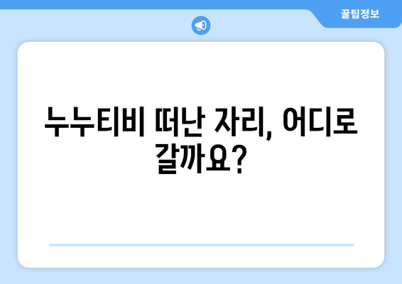 누누티비 대체 가능한 사이트: 서비스 종료 후 대안