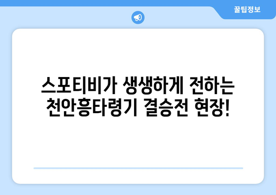 천안흥타령기 결승전 스포티비 중계