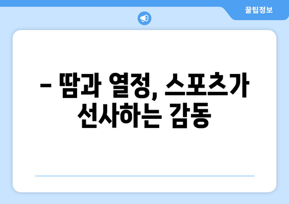 스포츠란 무엇인가?