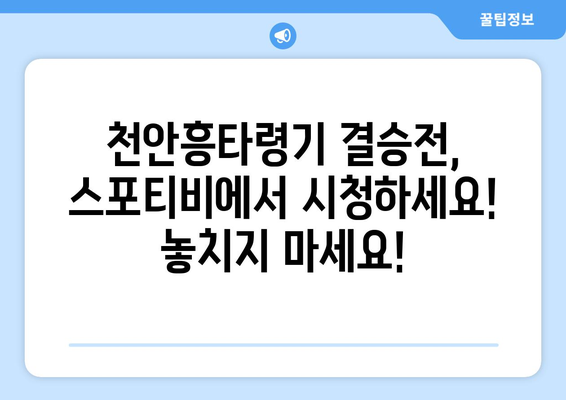 천안흥타령기 결승전 스포티비 중계 안내