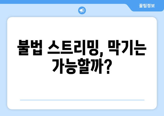 불법 스트리밍 사이트 근절의 전망과 과제