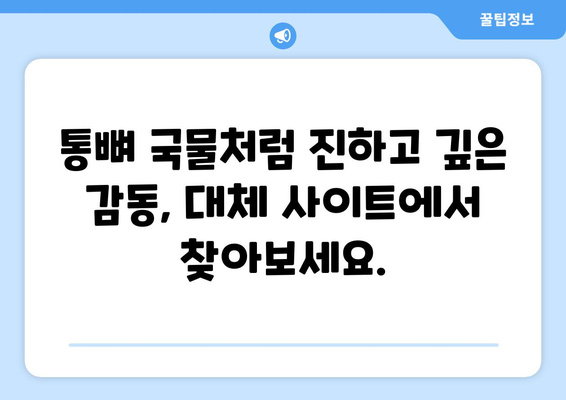 통뼈 국물: 누누티비 대체 가능 사이트와 팁