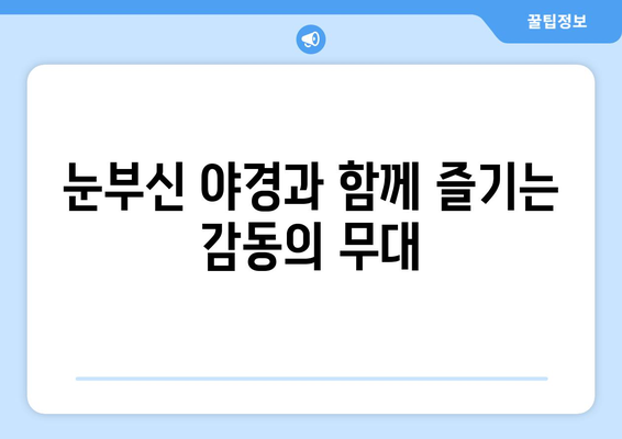 한강 불빛 공연 정보 총정리