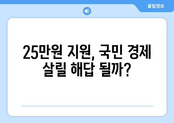 윤석열의 경제 대안, 25만원 민생회복 지원금