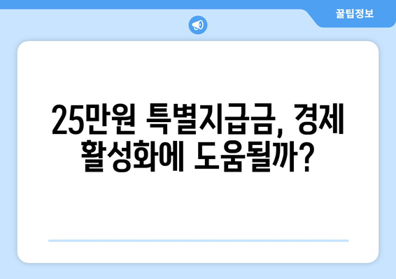 25만원 특별지급금: 가계 소득 증가에 기여