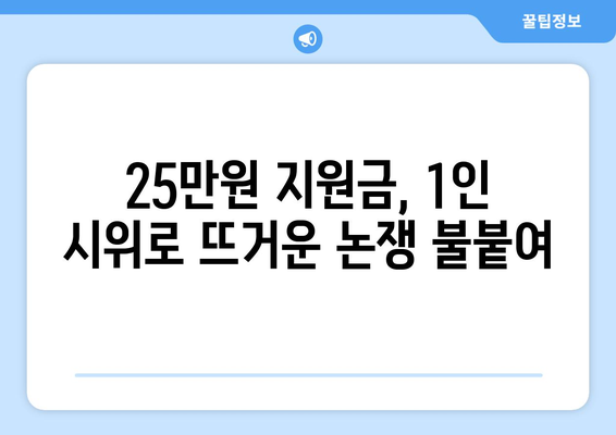 1인 시위로 반대하는 25만원 민생 회복 지원금