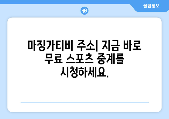 마징가티비 무료 중계 사이트 바로 가기