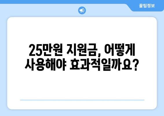 민생 고통 해소를 위한 25만원 지원금: 약속을 행동으로