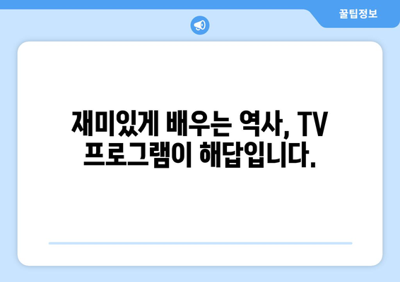 역사를 배우는 TV 프로그램