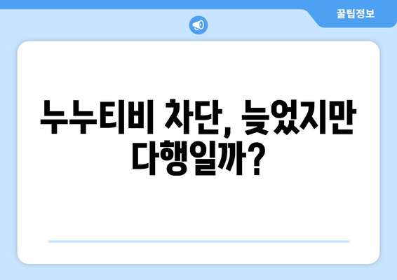 누누티비 차단: 정부의 뒤늦은 대응