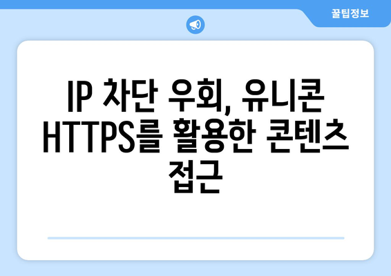 IP 우회 프로그램 유니콘 HTTPS: 티비위키와 누누티비의 부상