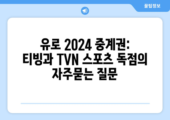 유로 2024 중계권: 티빙과 TVN 스포츠 독점