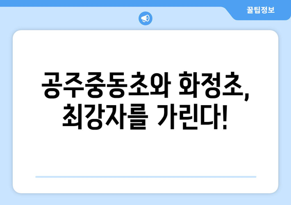 공주중동초 vs 화정초, 천안흥타령기 결승전 생중계를 스포티비에서 즐기세요.