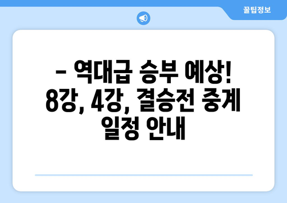 골프토너먼트 중계 일정: 8강, 4강, 결승전