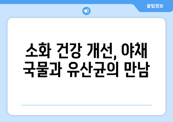 야채 국물과 유산균이 건강에 미치는 이점