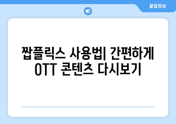 짭플릭스: 누누티비 대체 사이트로 OTT 콘텐츠 다시 보기