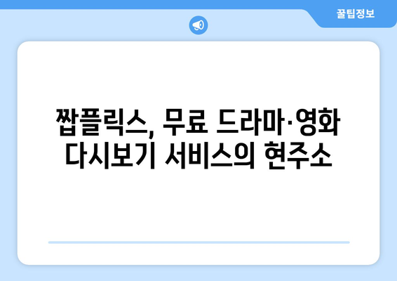 누누티비 대체 무료 드라마·영화 다시보기 서비스 