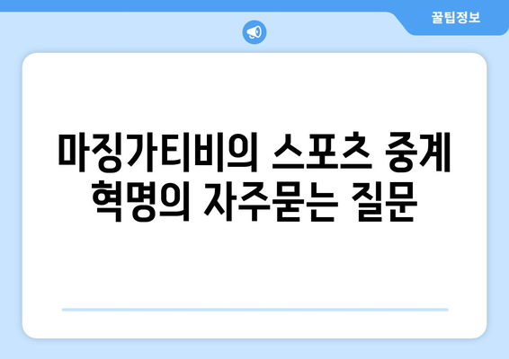 마징가티비의 스포츠 중계 혁명