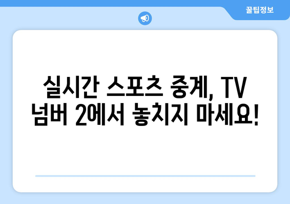 실시간 스포츠의 전당: TV 넘버 2에서 모든 스포츠 한번에