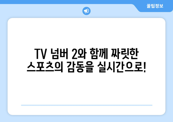 실시간 스포츠의 전당: TV 넘버 2에서 모든 스포츠 한번에