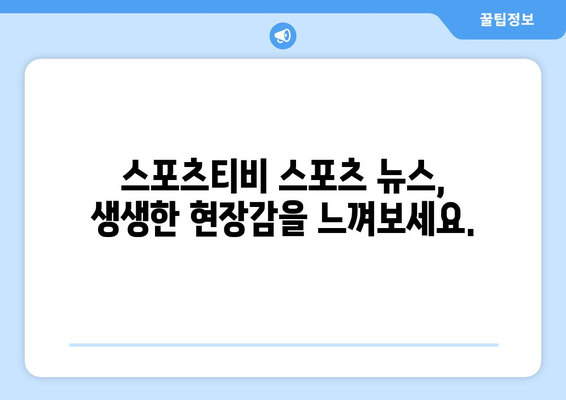 스포츠티비 스포츠 뉴스