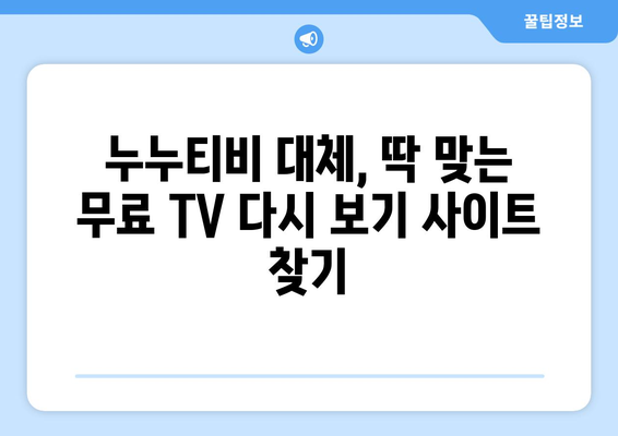 누누티비의 대안: 무료 TV 다시 보기 웹사이트