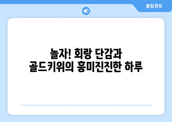 놀아주세요를 하는 회랑 단감과 골드키위