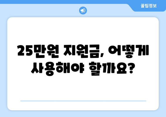 25만원 지원금 지급에 따른 경제적 고려사항