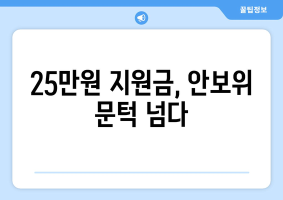 "25만원지원금" 논란이 국회 안보위 통과