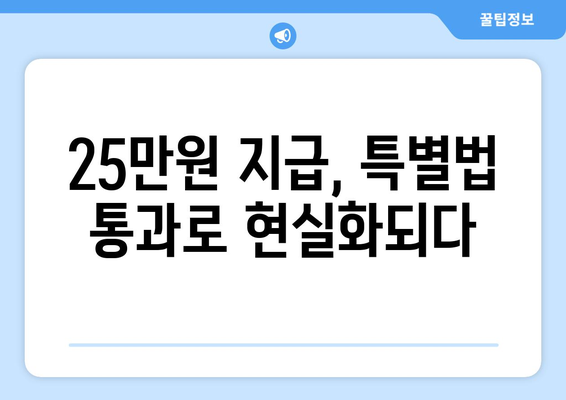 개선, 반도체, 민생 지원금, 특별법에 따른 25만원 지급