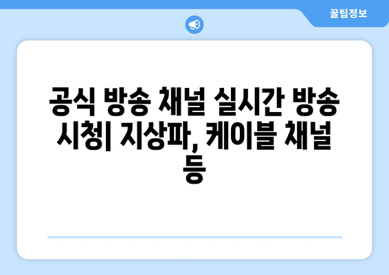 티비위키와 나무위키에서 누누티비 강제 폐쇄 없이 무료 시청 방법