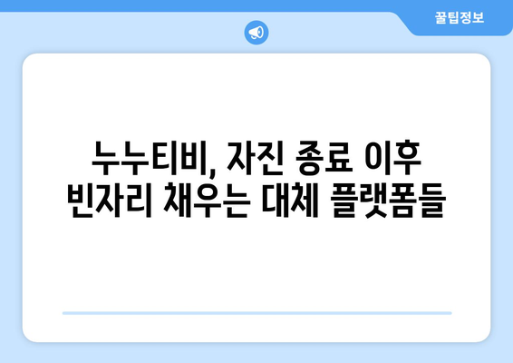 누누티비 종료 자진: 대체 사이트의 출현