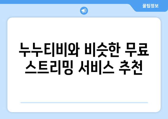 대체 채널 없는 누누티비