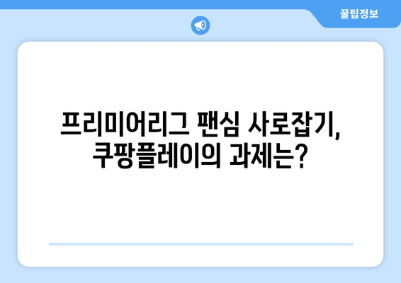 프리미어리그 중계권 확보한 쿠팡플레이, 스포티비를 능가할까?