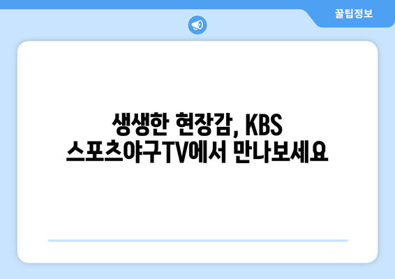 야구 경기의 새로운 시대: KBS 스포츠야구티비 채널의 혁신