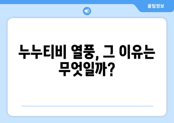 누누티비 팬들의 열광: 그 이유는?