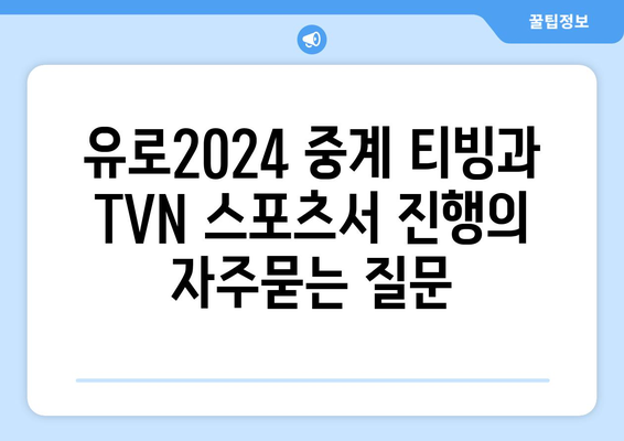 유로2024 중계 티빙과 TVN 스포츠서 진행