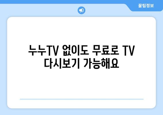 누누TV 대체 사이트: 공짜 TV를 다시 보기 위한 옵션