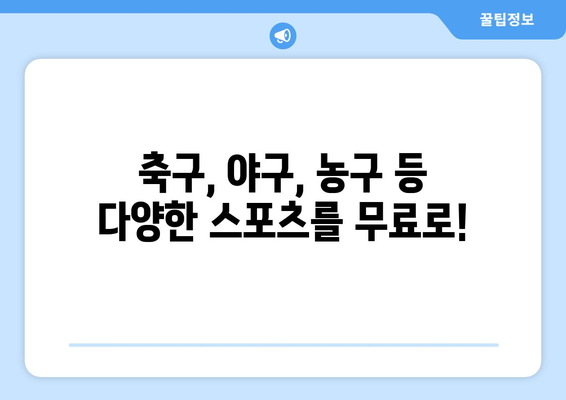 라이브와 반복 모두에서: 리치티비를 통한 해외 스포츠 무료 중계