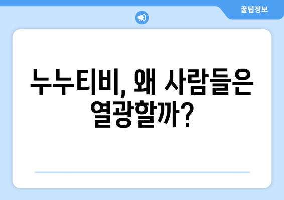 누누티비 인기의 비밀