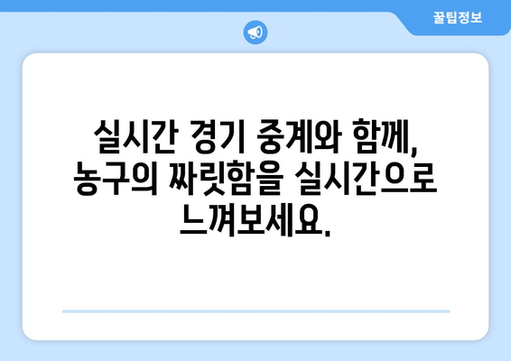 스포츠티비: 농구에 대한 당신의 열정을 불태우는 곳