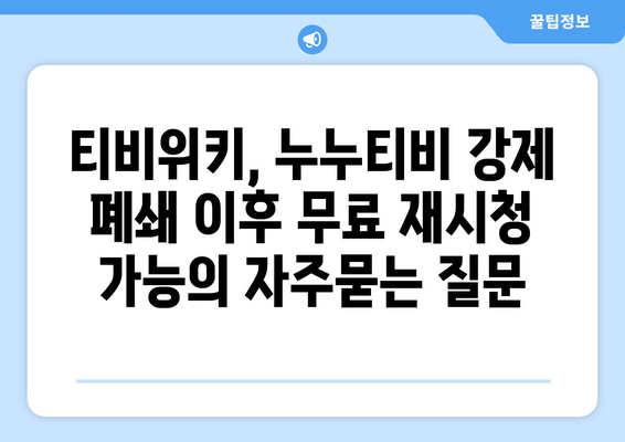 티비위키, 누누티비 강제 폐쇄 이후 무료 재시청 가능