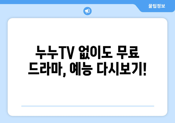 누누TV 대체 사이트: 무료 TV 다시보기