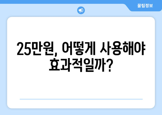 민생회복지원금 25만원: 필요한 지원금인가?