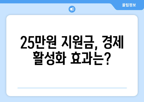 경제 활성화를 위한 25만 원 지원금 분배