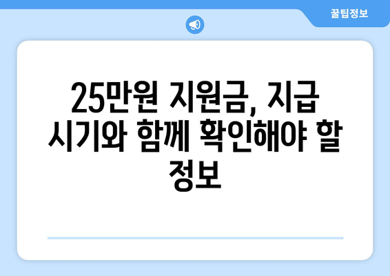 25만원 지원금 민생 지원금 지급 예정 시기