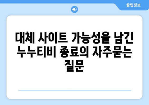 대체 사이트 가능성을 남긴 누누티비 종료