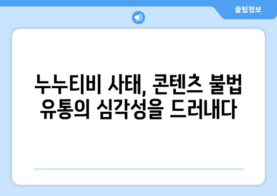 콘텐츠 도둑들에 대한 대책: 누누티비 이후 시급해진 개선