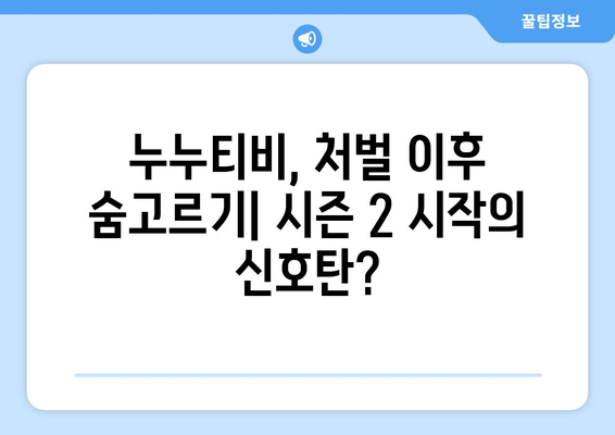 누누티비 처벌 대응과 시즌 2 시작: 지켜봐야 할 최신 동향